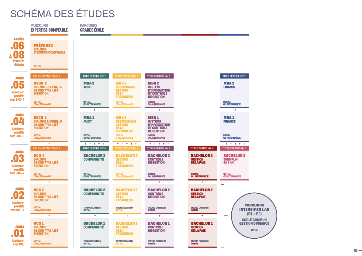 schéma des études IHECF