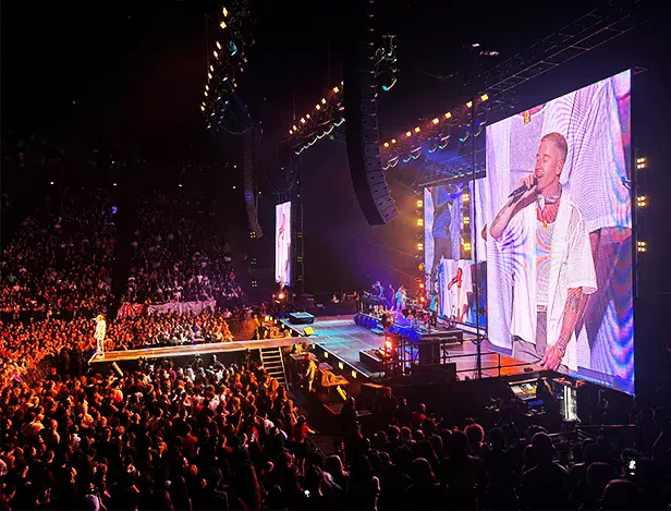IHECF-PARIS-SUD-IBIS-ROCK-CORPS-MACKLEMORE-FRANGLISH-RONISIA-CONCERT-BENEVOLAT-3