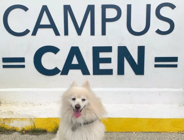 Pet-Week-IHECF-Caen