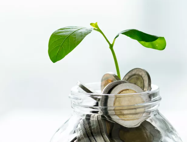 Comptabilité-Durable-Priorité-Pour-Les-Entreprises