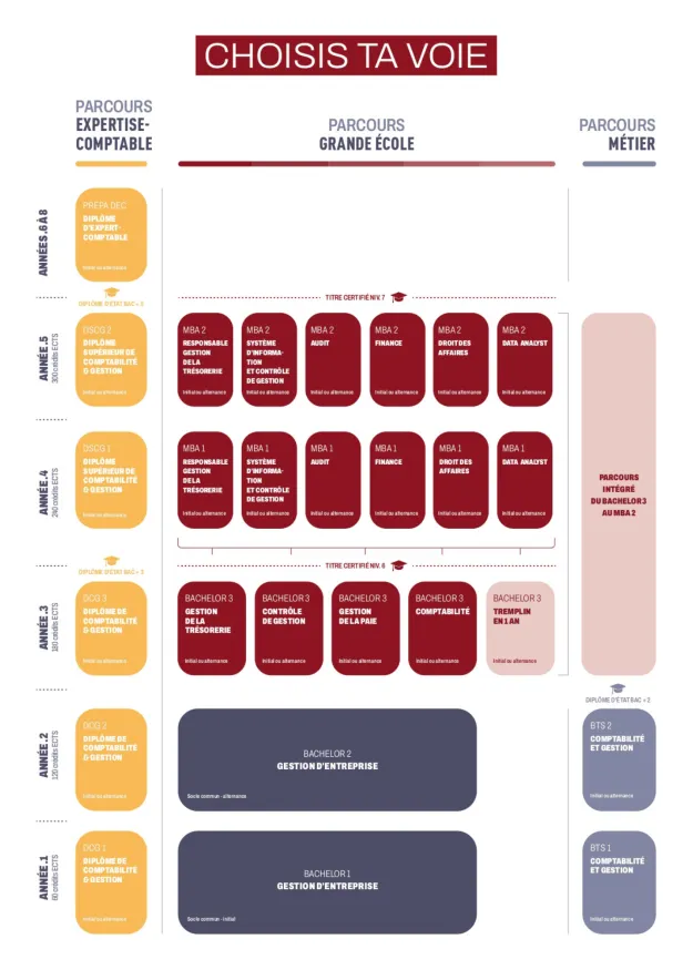 schema-des-etudes-IHECF-2026